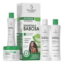 KIT CAPILAR PROFISSIONAL MAMONA E BABOSA 4 PECAS- BIO INSTINTO 300ml